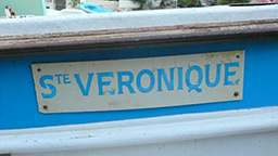 Ste Veronique
