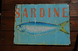 Sardine