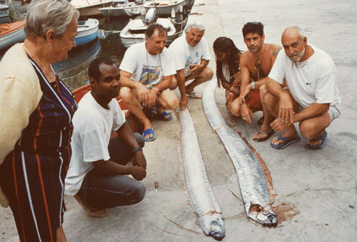 Couple de Regalec capturé vivant (par ignorance)